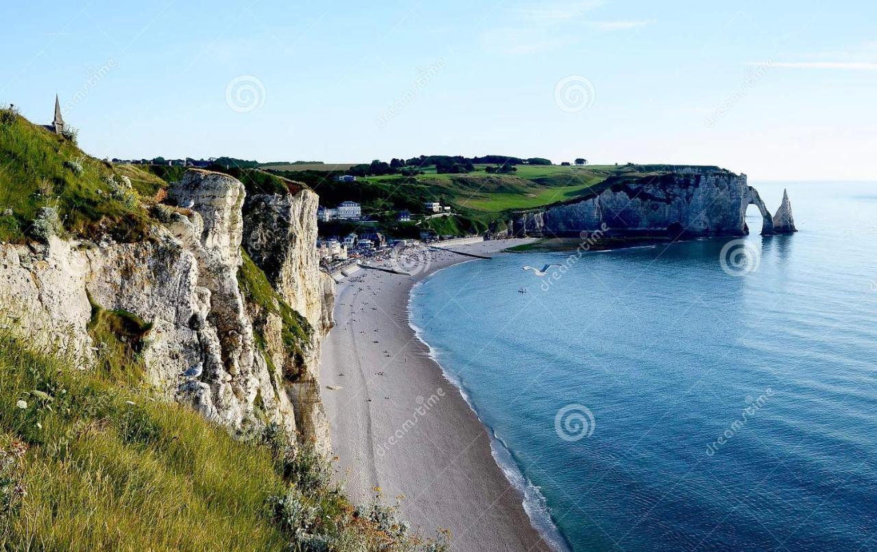 Chambre D'Hotes Proche Etretat Beaurepaire  エクステリア 写真