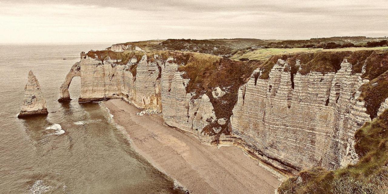 Chambre D'Hotes Proche Etretat Beaurepaire  エクステリア 写真